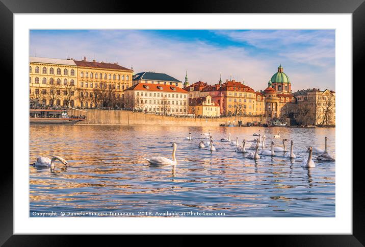 Prague cityscape and the Vltava river Framed Mounted Print by Daniela Simona Temneanu