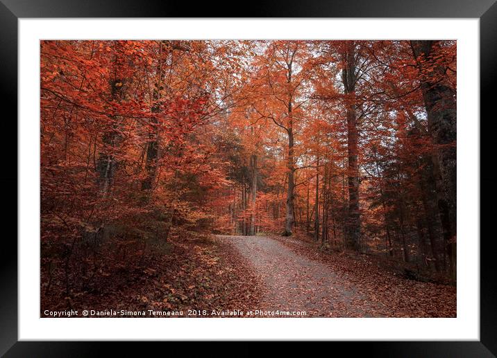Alley crossing through autumn forest Framed Mounted Print by Daniela Simona Temneanu
