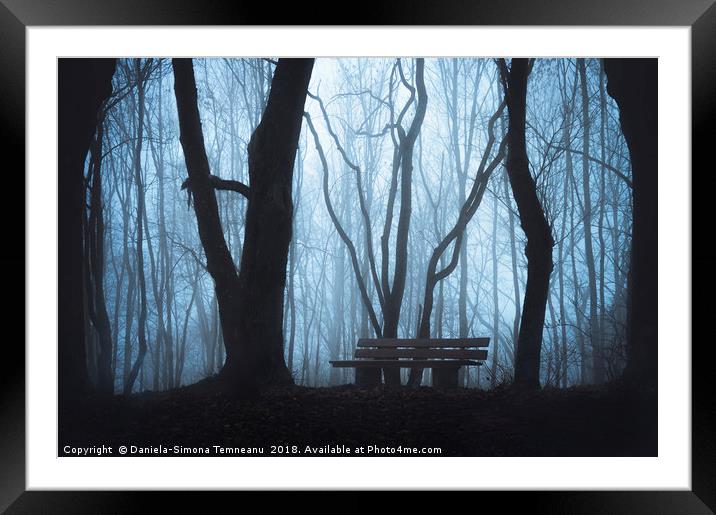 Wooden bench and foggy autumn forest Framed Mounted Print by Daniela Simona Temneanu