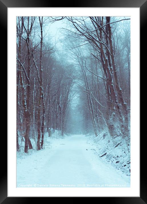 Forest road covered in snow Framed Mounted Print by Daniela Simona Temneanu