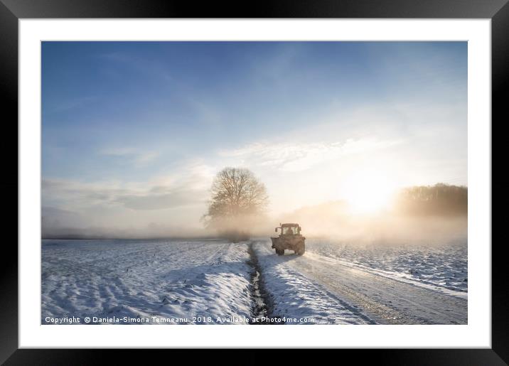 Tractor silhouette through fog at sunrise Framed Mounted Print by Daniela Simona Temneanu