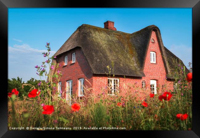 Red brick typical Frisian house and thatched roof Framed Print by Daniela Simona Temneanu
