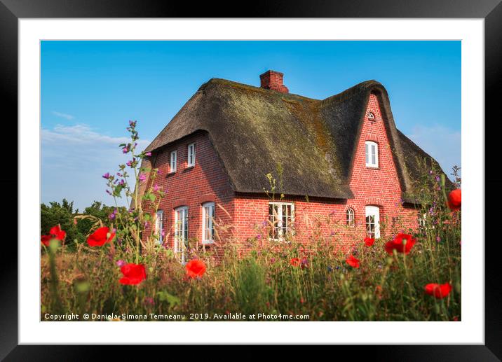Red brick typical Frisian house and thatched roof Framed Mounted Print by Daniela Simona Temneanu