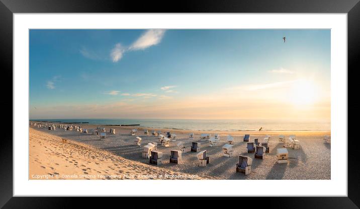 Sylt island beach with wicker chairs at sunset Framed Mounted Print by Daniela Simona Temneanu