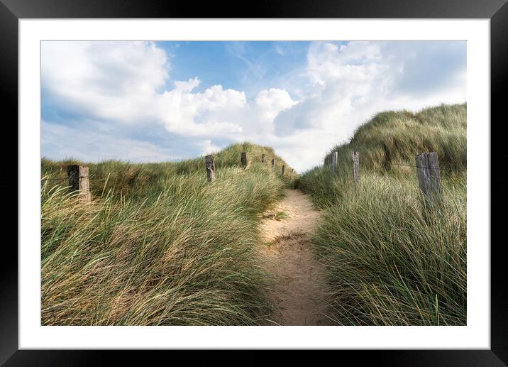 Alley through tall grass on a sandy dune on Sylt island Framed Mounted Print by Daniela Simona Temneanu