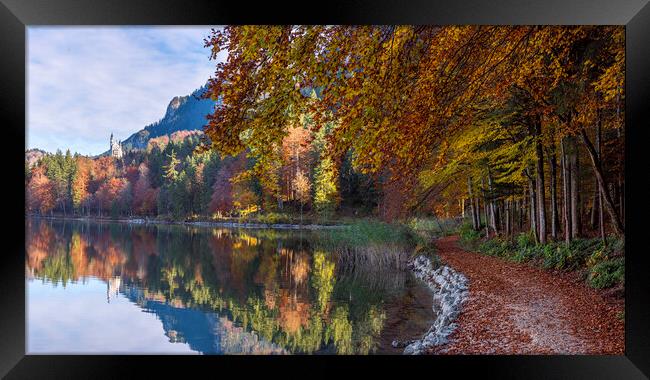 Autumn landscape in bavarian alps. Bavarian forest on the lakeshore near the town Fussen Framed Print by Daniela Simona Temneanu