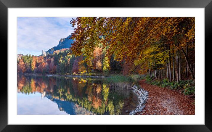 Autumn landscape in bavarian alps. Bavarian forest on the lakeshore near the town Fussen Framed Mounted Print by Daniela Simona Temneanu