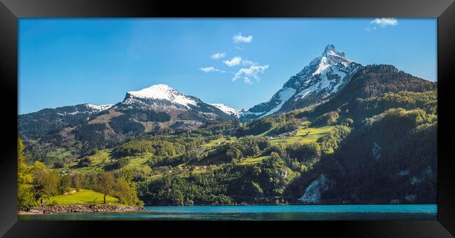 Mountain peaks in swiss Alps. Summer landscape in Switzerland Framed Print by Daniela Simona Temneanu
