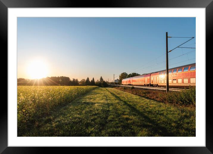 Passenger train and rapeseed field. Spring landscape at sunrise Framed Mounted Print by Daniela Simona Temneanu