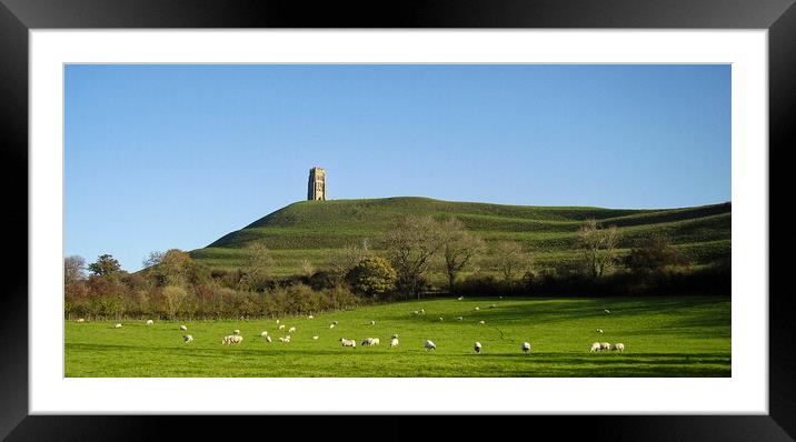 Sheep grazing below Glastonbury Tor Framed Mounted Print by Steve Painter