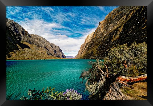Turquoise lagoon in the high  Andes Framed Print by Steve Painter