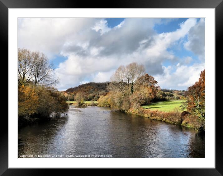 Shades of Autumn on the River Dart Framed Mounted Print by Elizabeth Chisholm