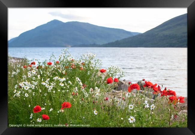 Loch Linnhe, Scotland Framed Print by Hazel Wright