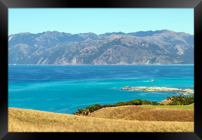 View from Kaikoura Peninsula, New Zealand Framed Print by Hazel Wright