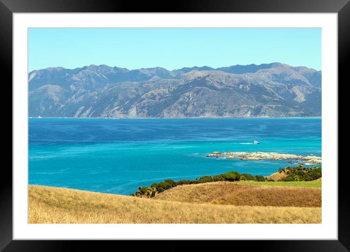 View from Kaikoura Peninsula, New Zealand Framed Mounted Print by Hazel Wright
