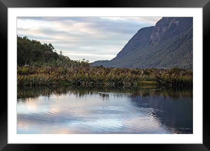 Mirror lake, between Te Anua and Milford Sound, Ne Framed Mounted Print by Hazel Wright