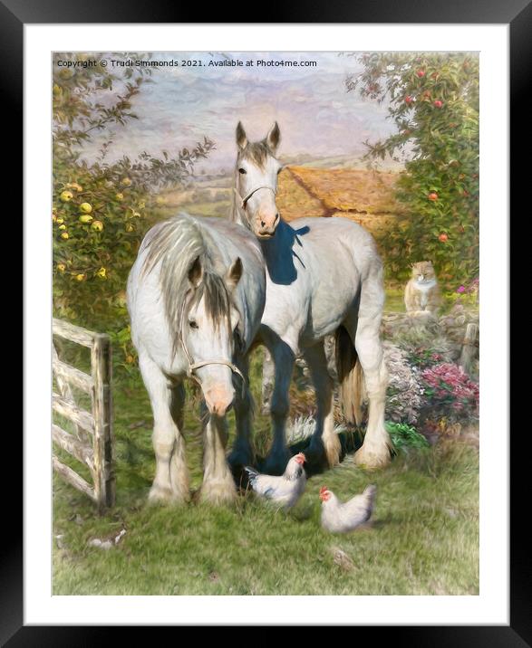 Please Shut The Gate Framed Mounted Print by Trudi Simmonds