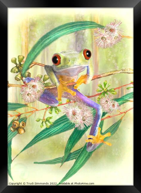 Tree Frog Framed Print by Trudi Simmonds