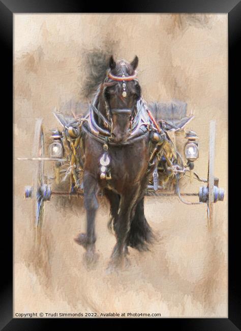 Friesian Style Framed Print by Trudi Simmonds