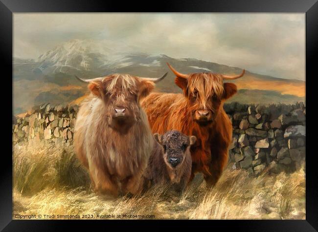 Hairy Coo's Framed Print by Trudi Simmonds