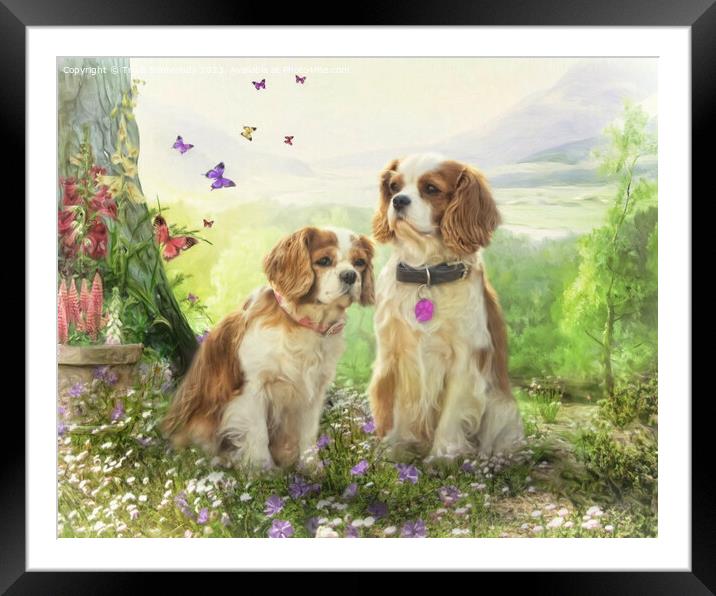  Cavalier King Charles Spaniel Framed Mounted Print by Trudi Simmonds