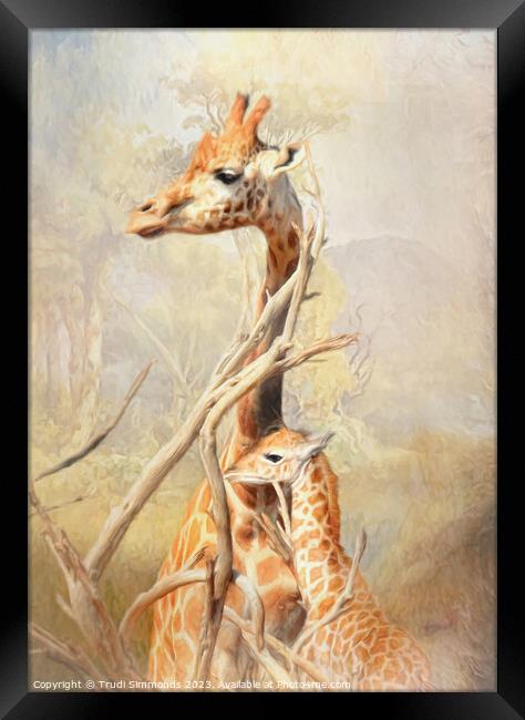 Giraffe Mother and Calf Framed Print by Trudi Simmonds