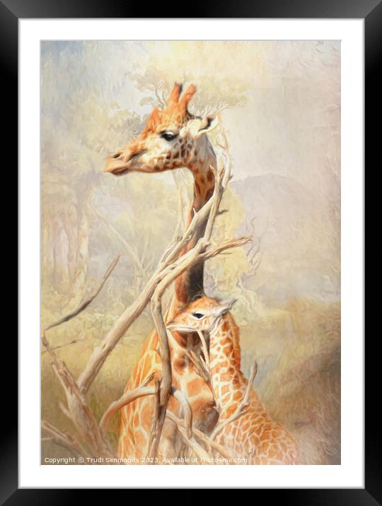 Giraffe Mother and Calf Framed Mounted Print by Trudi Simmonds