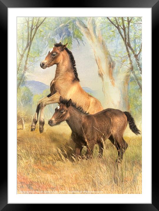 Play Time Framed Mounted Print by Trudi Simmonds