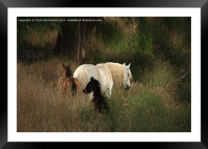 Moments In Time the Connemara Pony Framed Mounted Print by Trudi Simmonds