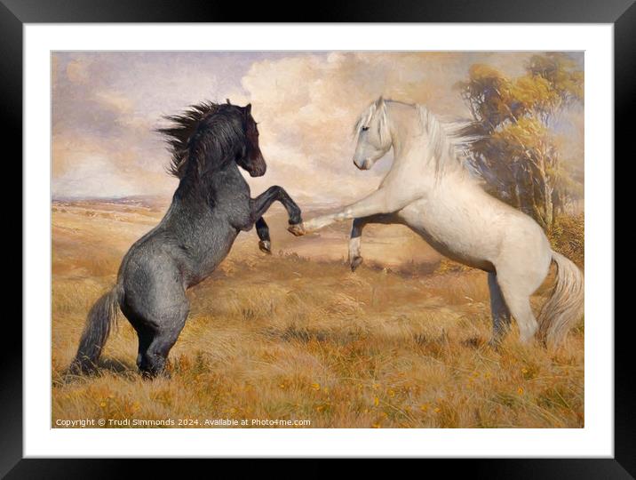 Autumn Brumbies Framed Mounted Print by Trudi Simmonds