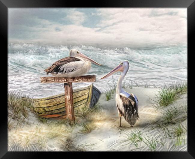 Pelican Point Framed Print by Trudi Simmonds