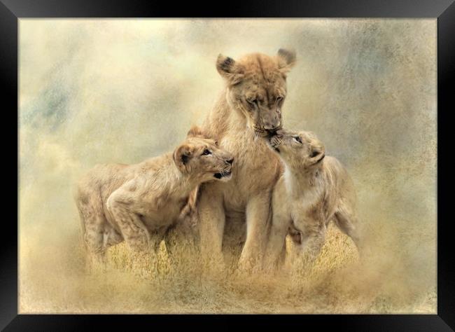 Lioness and Cubs  Framed Print by Trudi Simmonds