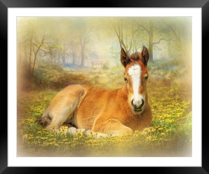 Foal in the Flowers Framed Mounted Print by Trudi Simmonds