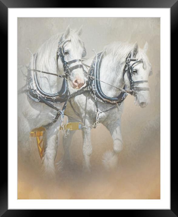 Percheron Framed Mounted Print by Trudi Simmonds