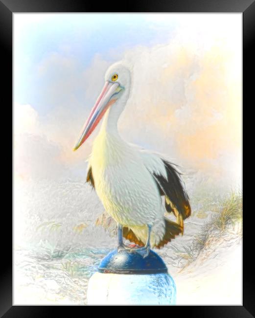 The Pelican Framed Print by Trudi Simmonds