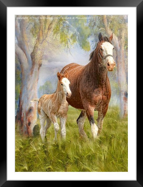 Clydesdale Mare and Foal Framed Mounted Print by Trudi Simmonds