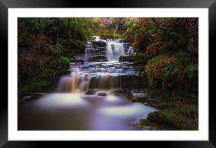 In the forest Framed Mounted Print by Jaromir Ondra