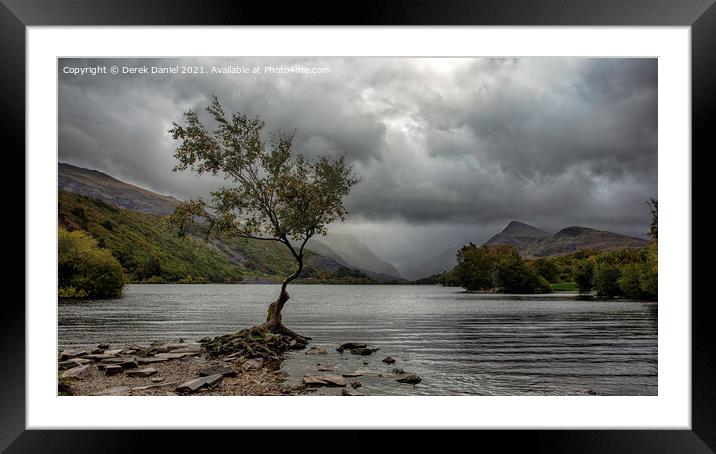 The Lone Tree, Llyn Padarn, LLanberis (panoramic) Framed Mounted Print by Derek Daniel