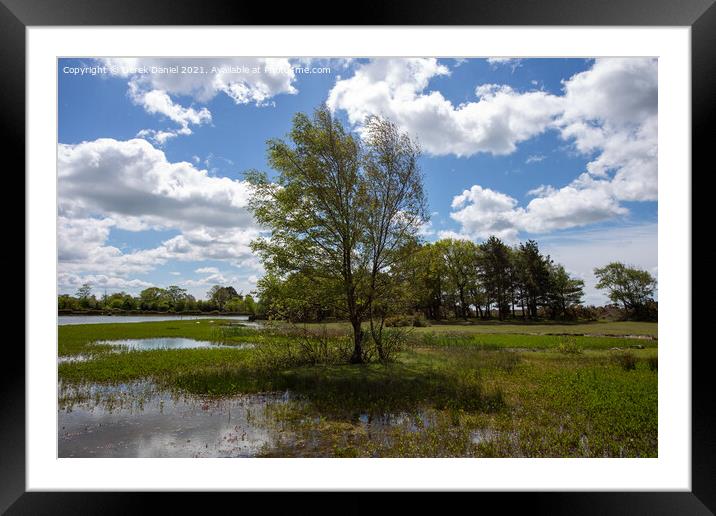 Hatchet Pond, New Forest East Boldre Framed Mounted Print by Derek Daniel