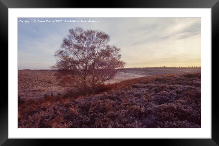 Autumn in the New Forest Framed Mounted Print by Derek Daniel