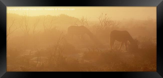 Misty Morning in The New Forest Framed Print by Derek Daniel
