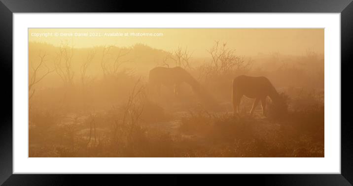 Misty Morning in The New Forest Framed Mounted Print by Derek Daniel