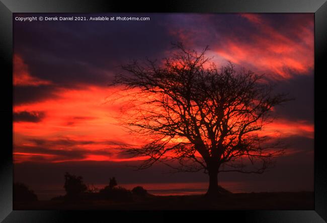 A tree in front of a sunset Framed Print by Derek Daniel