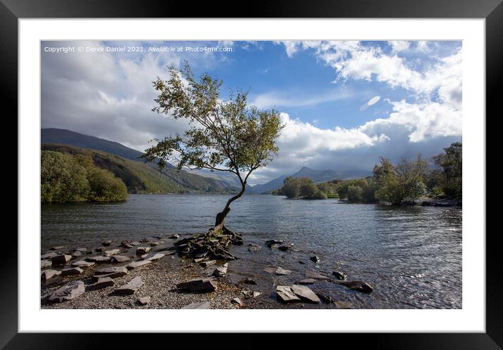 The Lone Tree, Llyn Padarn, LLanberis  Framed Mounted Print by Derek Daniel