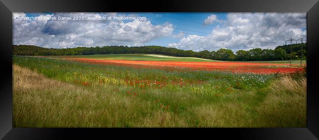 Stunning Red and White Poppies Field Framed Print by Derek Daniel