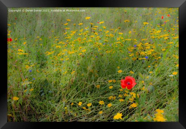 Dreamy Wildflowers #2 Framed Print by Derek Daniel