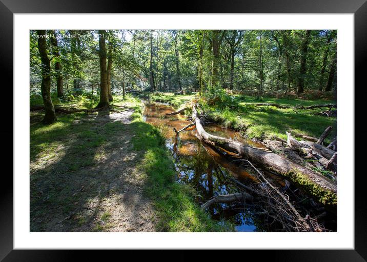 Tranquility in Southern England Framed Mounted Print by Derek Daniel