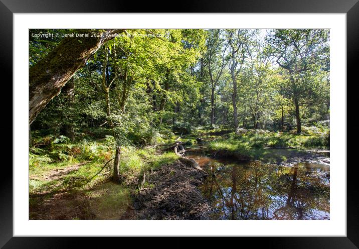 Autumnal Trails in the Enchanting New Forest Framed Mounted Print by Derek Daniel