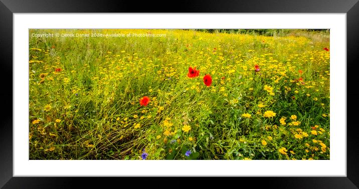 Wildflower Symphony Framed Mounted Print by Derek Daniel