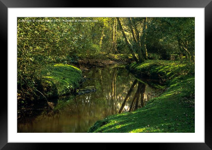 Forest Stream Framed Mounted Print by Derek Daniel